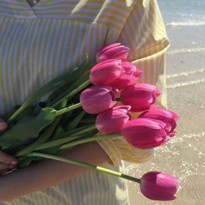 江南足球app手机app下载